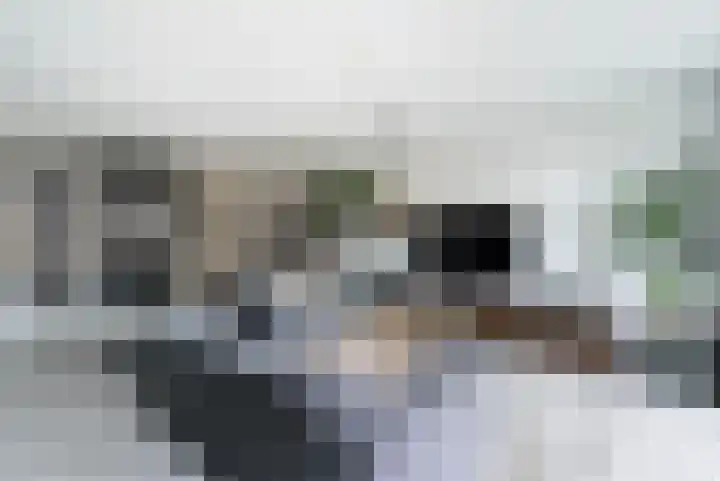 Zilvermijn 29 Rhoon thumbnail 11