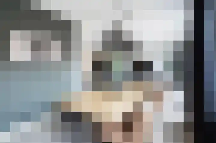 Zilvermijn 29 Rhoon thumbnail 16