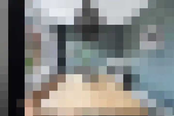 Zilvermijn 29 Rhoon thumbnail 17