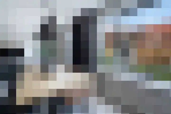 Zilvermijn 29 Rhoon thumbnail 18