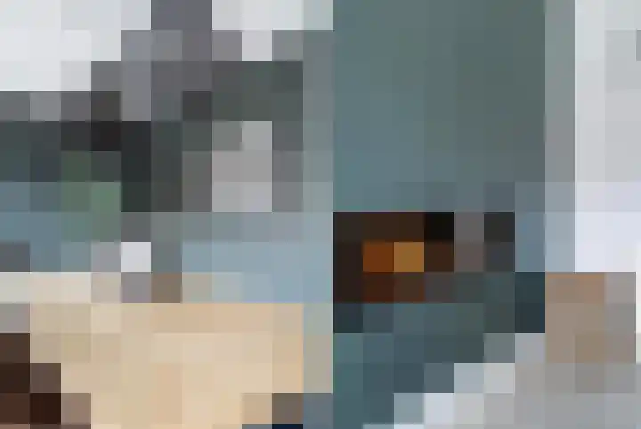 Zilvermijn 29 Rhoon thumbnail 19