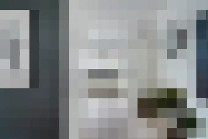 Zilvermijn 29 Rhoon thumbnail 20