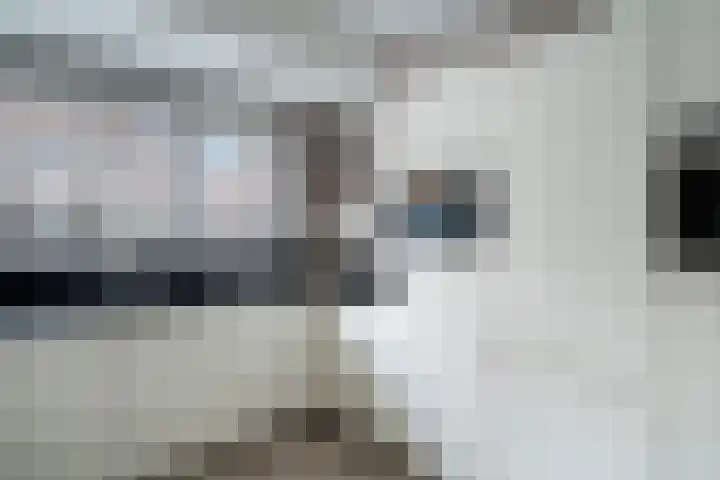 Zilvermijn 29 Rhoon thumbnail 22