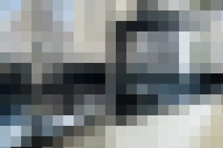 Zilvermijn 29 Rhoon thumbnail 23