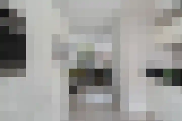 Zilvermijn 29 Rhoon thumbnail 24