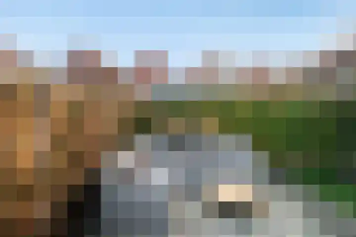 Zilvermijn 29 Rhoon thumbnail 25