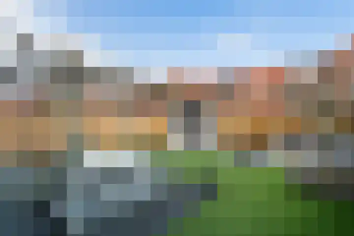 Zilvermijn 29 Rhoon thumbnail 27