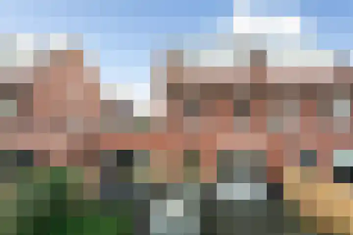 Zilvermijn 29 Rhoon thumbnail 28