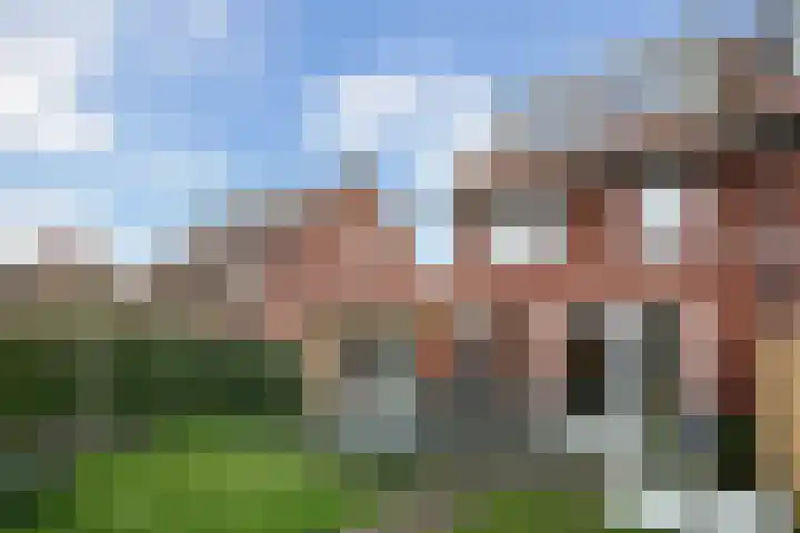 Zilvermijn 29 Rhoon thumbnail 29
