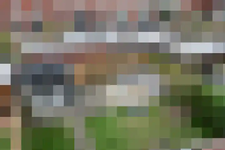 Zilvermijn 29 Rhoon thumbnail 30