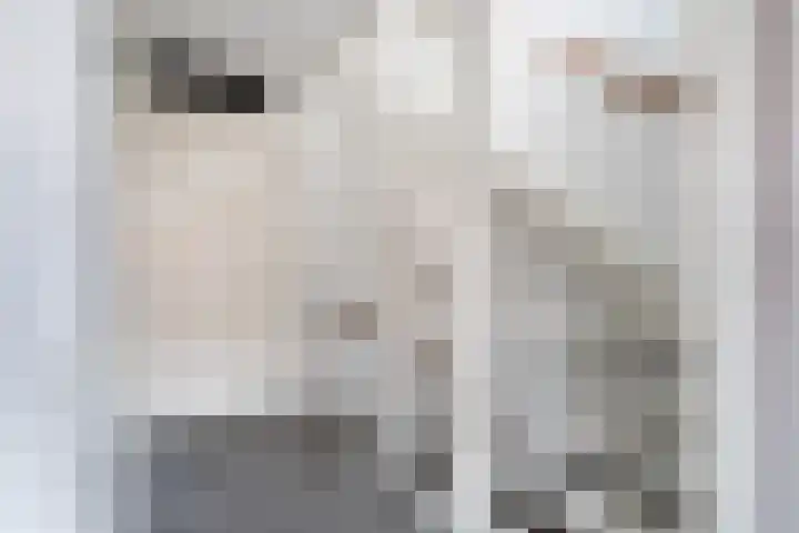 Zilvermijn 29 Rhoon thumbnail 31