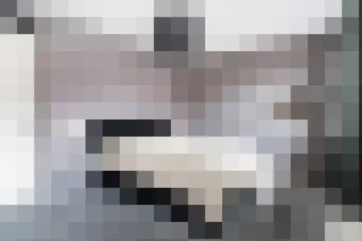 Zilvermijn 29 Rhoon thumbnail 32