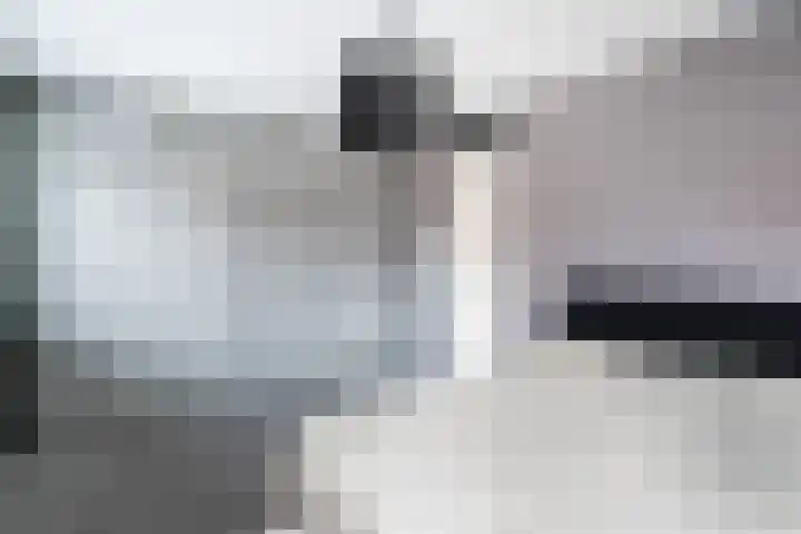 Zilvermijn 29 Rhoon thumbnail 33