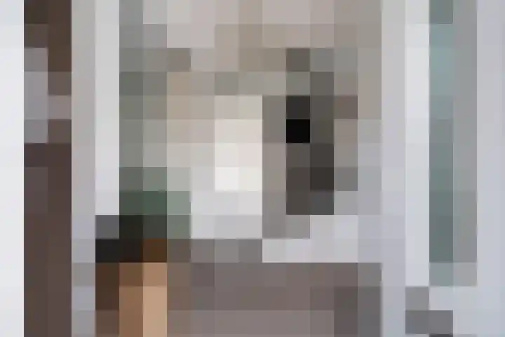 Zilvermijn 29 Rhoon thumbnail 4