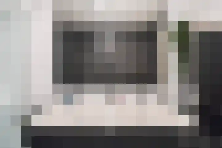 Zilvermijn 29 Rhoon thumbnail 46