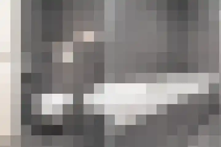 Zilvermijn 29 Rhoon thumbnail 47