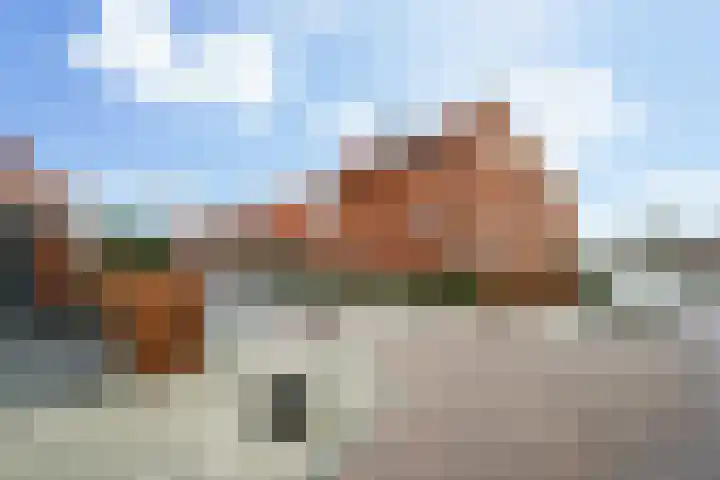 Zilvermijn 29 Rhoon thumbnail 48