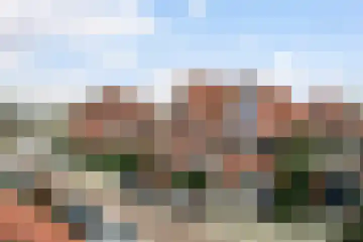 Zilvermijn 29 Rhoon thumbnail 49