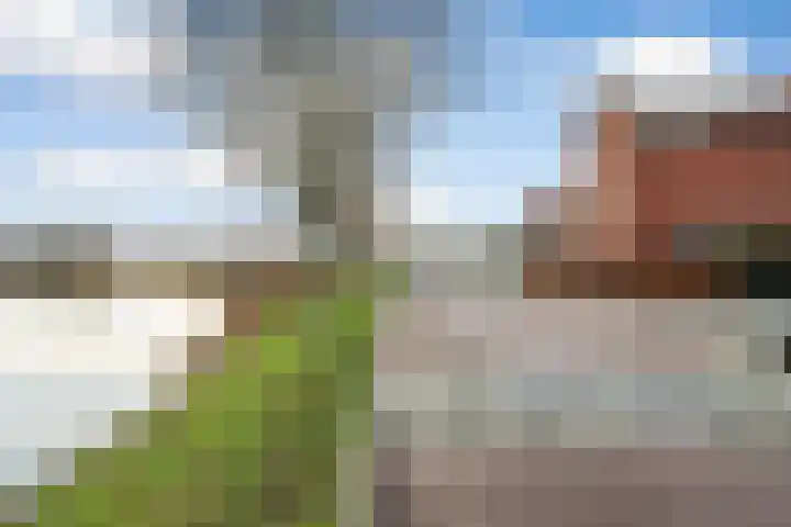 Zilvermijn 29 Rhoon thumbnail 50