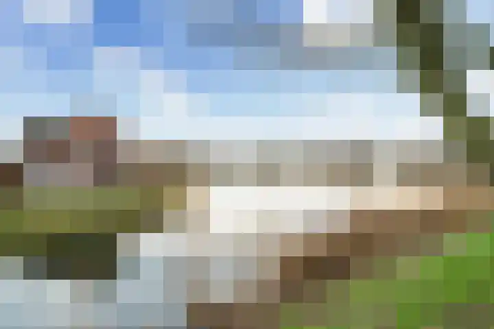 Zilvermijn 29 Rhoon thumbnail 51