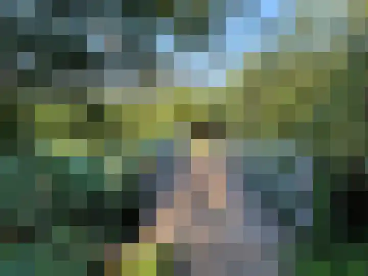 Zilvermijn 29 Rhoon thumbnail 52