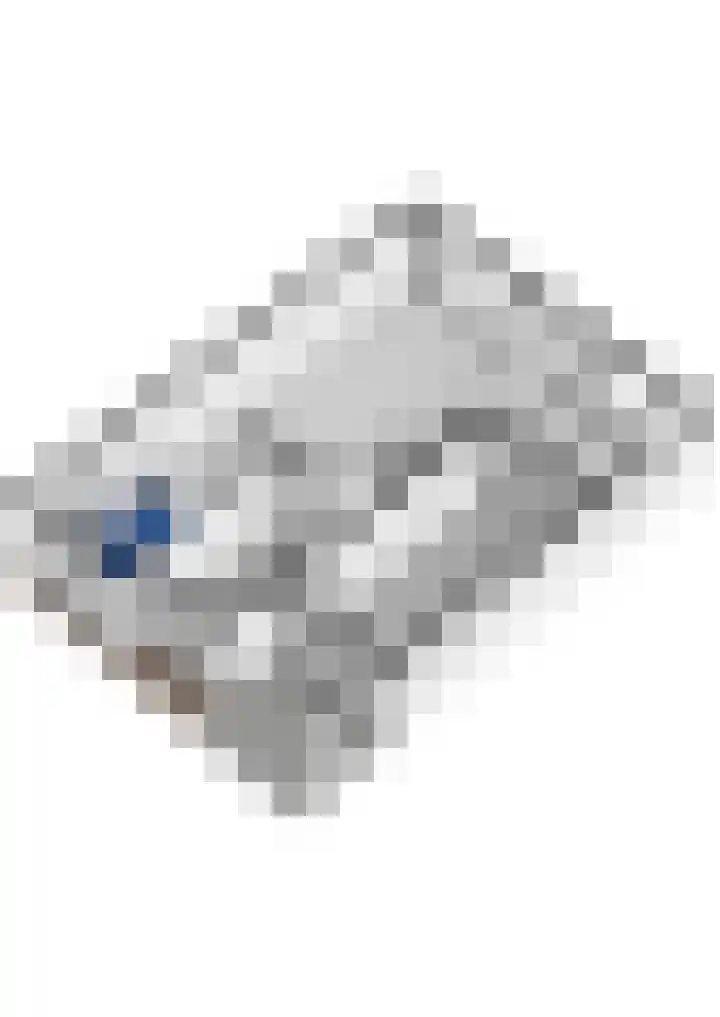 Zilvermijn 29 Rhoon thumbnail 60