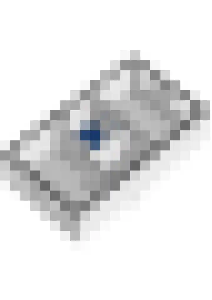 Zilvermijn 29 Rhoon thumbnail 61