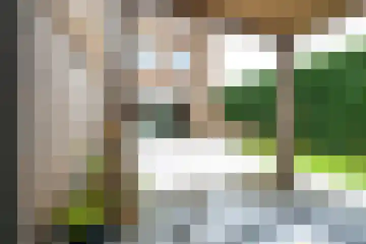 Zilvermos 2 Houten thumbnail 11