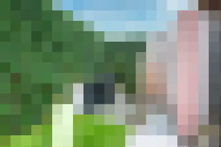 Zilvermos 2 Houten thumbnail 12