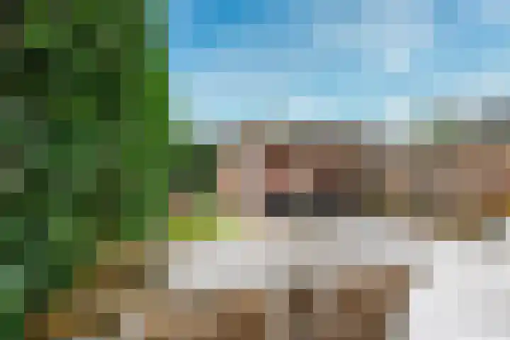 Zilvermos 2 Houten thumbnail 13
