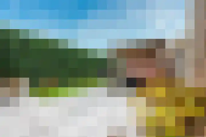 Zilvermos 2 Houten thumbnail 14