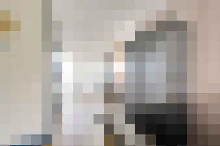Zilvermos 2 Houten thumbnail 17