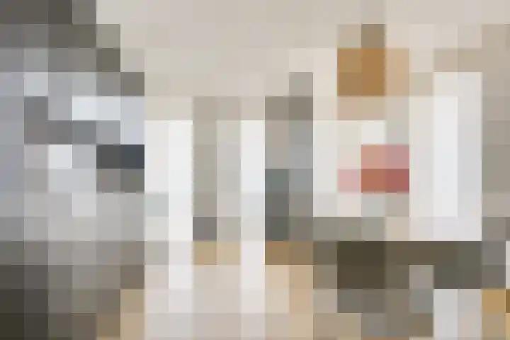 Zilvermos 2 Houten thumbnail 18
