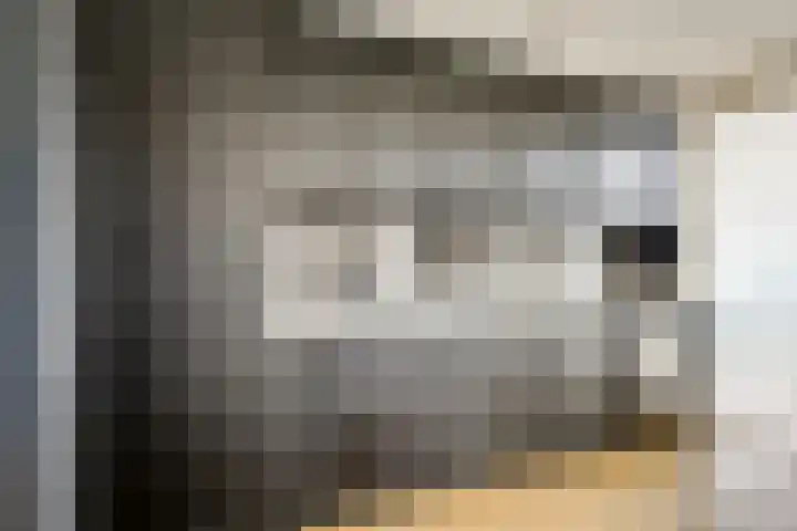 Zilvermos 2 Houten thumbnail 19