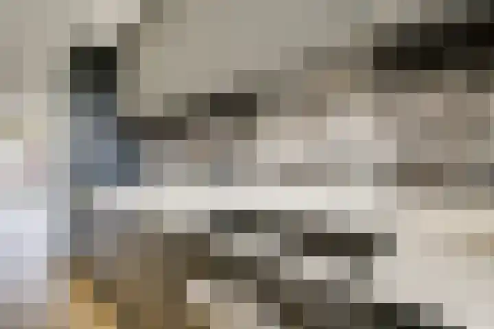 Zilvermos 2 Houten thumbnail 21