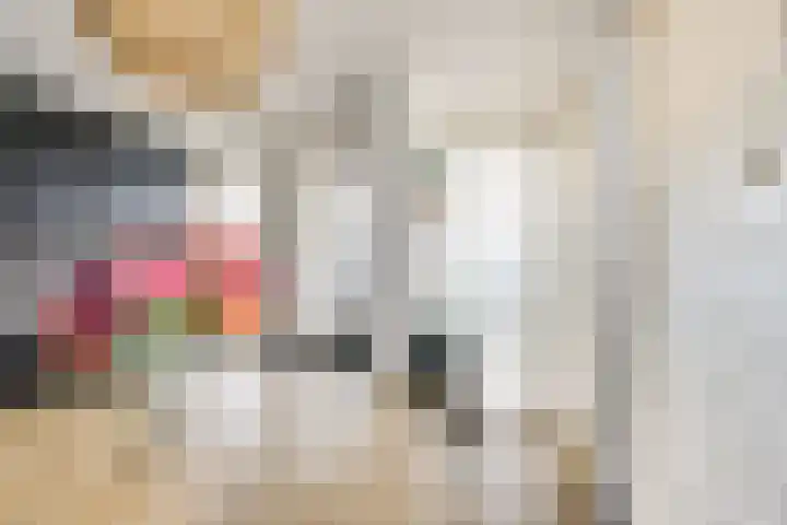 Zilvermos 2 Houten thumbnail 24