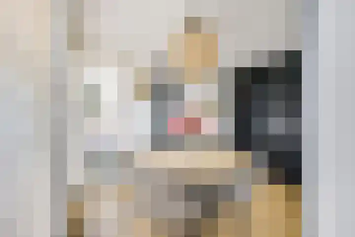 Zilvermos 2 Houten thumbnail 25
