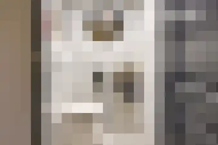 Zilvermos 2 Houten thumbnail 26