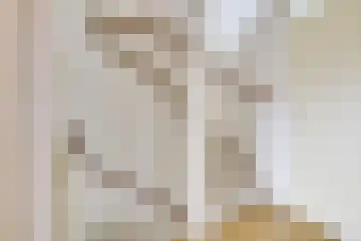Zilvermos 2 Houten thumbnail 27