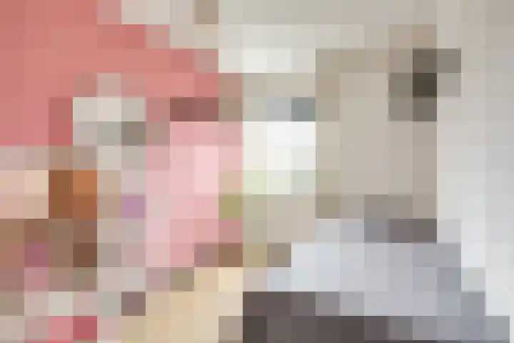 Zilvermos 2 Houten thumbnail 30