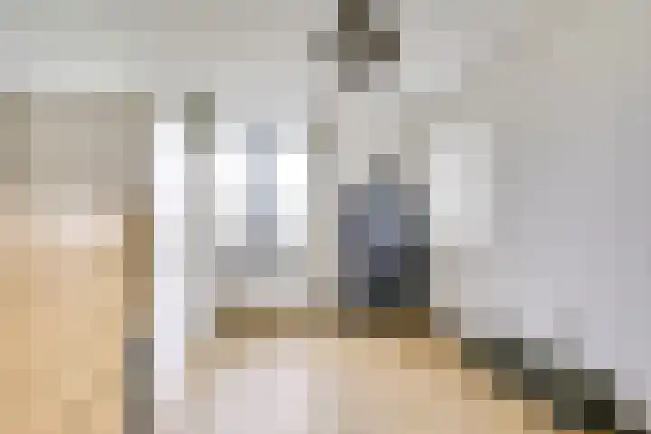 Zilvermos 2 Houten thumbnail 37