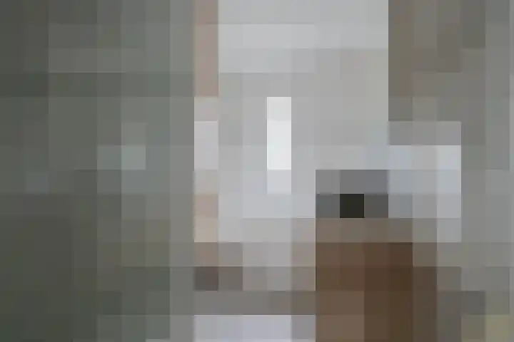 Zilvermos 2 Houten thumbnail 39
