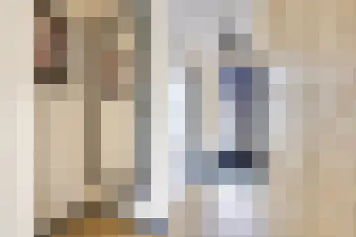 Zilvermos 2 Houten thumbnail 4