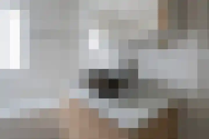 Zilvermos 2 Houten thumbnail 40