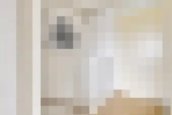 Zilvermos 2 Houten thumbnail 42