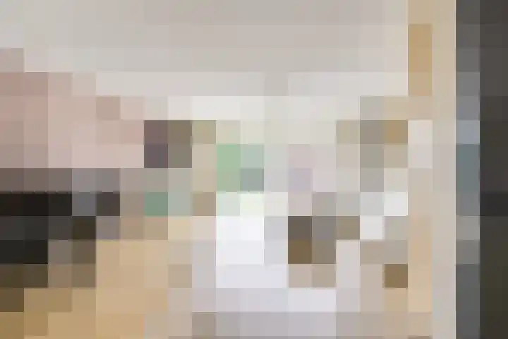 Zilvermos 2 Houten thumbnail 5