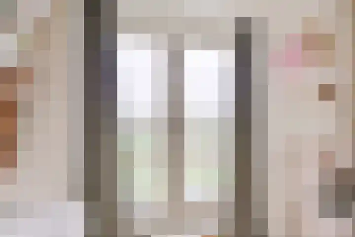 Zilvermos 2 Houten thumbnail 50