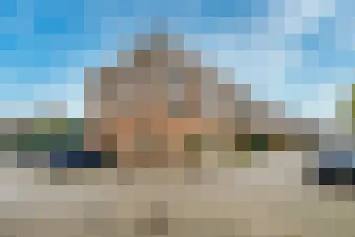 Zilvermos 2 Houten thumbnail 52