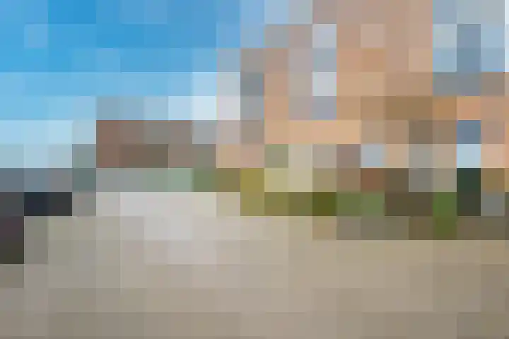 Zilvermos 2 Houten thumbnail 53
