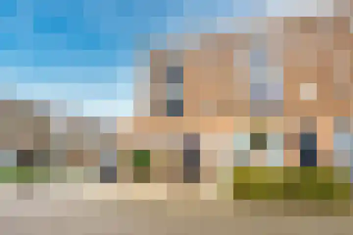 Zilvermos 2 Houten thumbnail 54